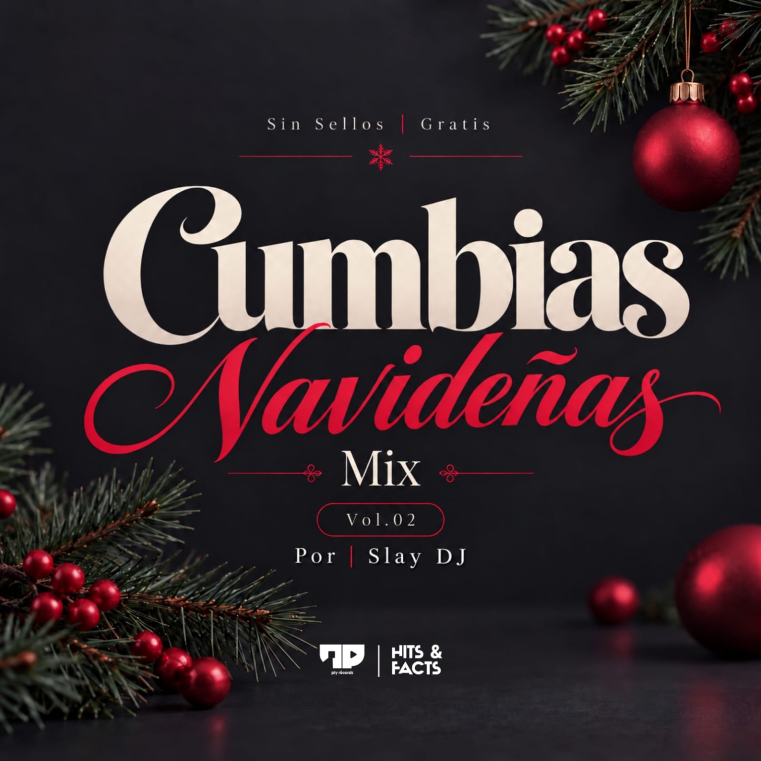 Cumbias Navideñas Mix Vol. 02