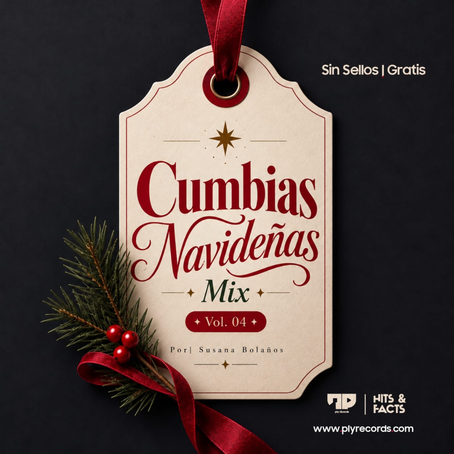 Cumbias Navideñas Mix Vol. 04